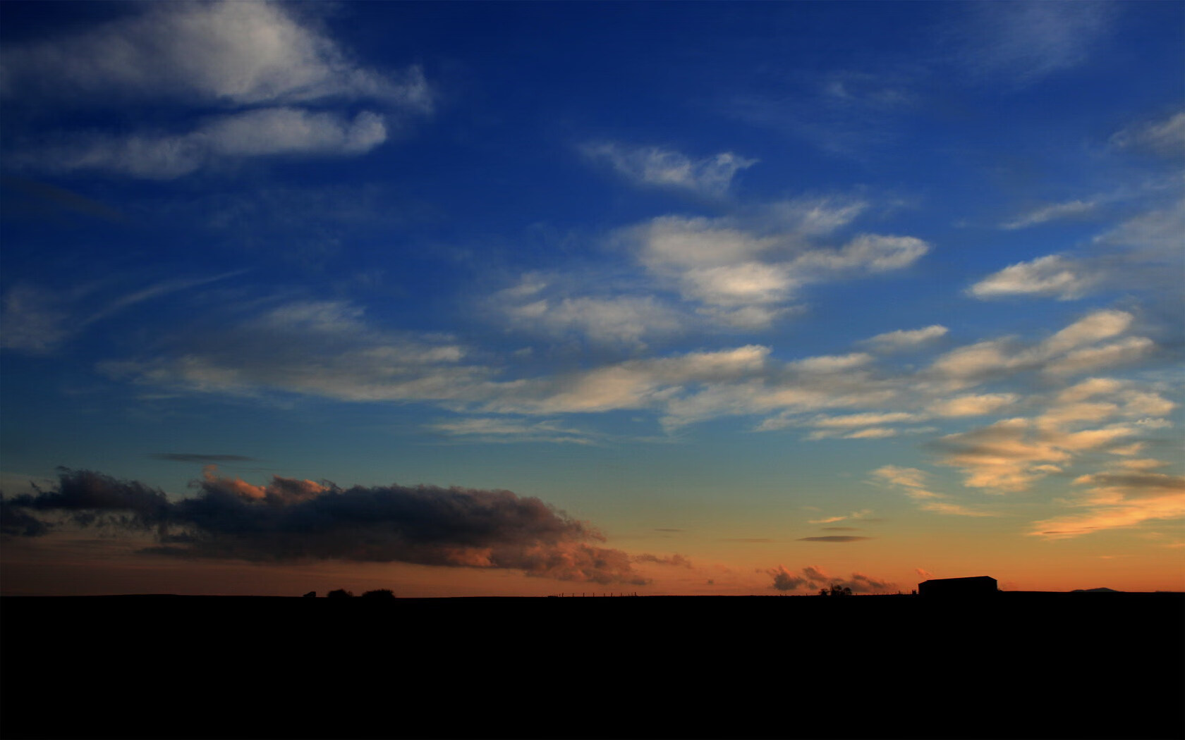 亲密互动：运动员与粉丝共同参与的趣味比赛