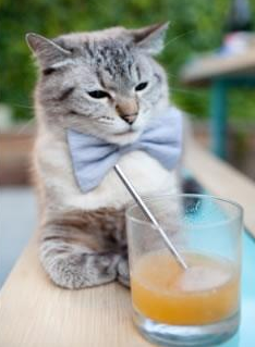 伊朗男足止步八强,惜败中国香港队,伊朗男足亚洲杯