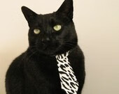 全国登山冠军赛,攀登不止追求高度,2021年登山比赛