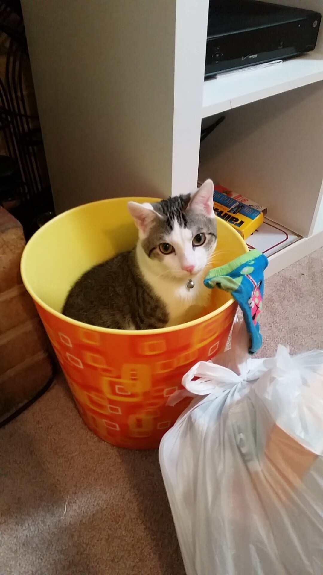 哈兰德火力爆棚,英超连续22场破门再创新高,哈兰德最新转会