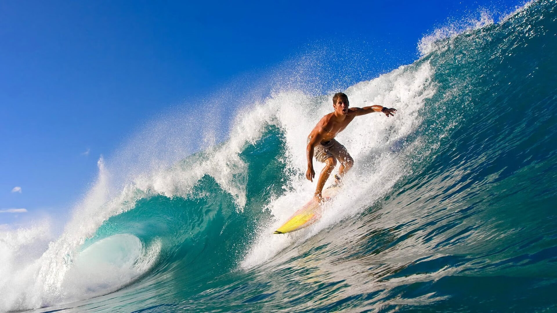 国内首份篮球发展蓝皮书发布全面分析未来成长路径,我国篮球产业发展现状