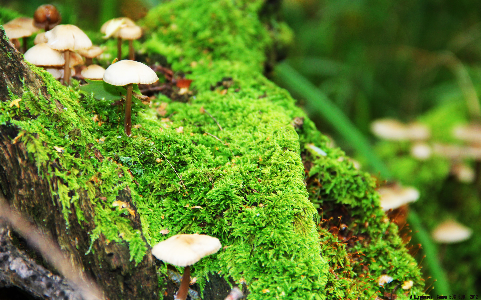 乌拉圭男足在巴黎奥运会上展现出强大的进攻火力，乌拉圭男足名单